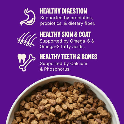 Wellness Complete Health Adult Dry Dog Food, Wholesome Grain Kibble, Natural, Chicken and Oatmeal Recipe, 30 lb Bag